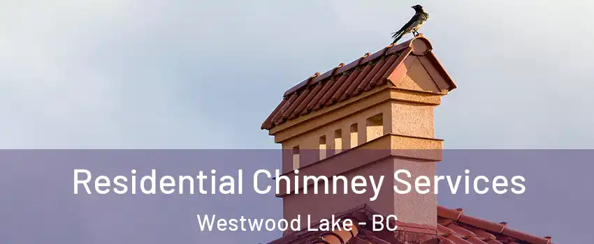  Residential Chimney Services Westwood Lake - BC