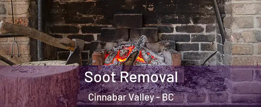  Soot Removal Cinnabar Valley - BC