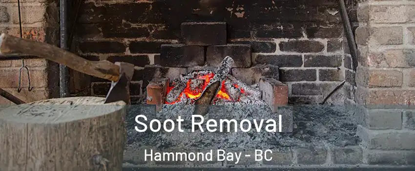  Soot Removal Hammond Bay - BC