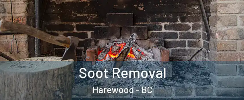  Soot Removal Harewood - BC