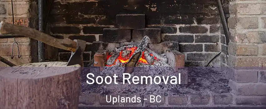  Soot Removal Uplands - BC