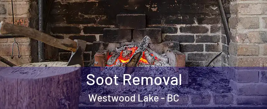  Soot Removal Westwood Lake - BC