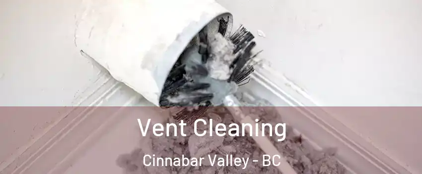  Vent Cleaning Cinnabar Valley - BC
