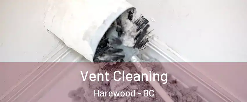 Vent Cleaning Harewood - BC