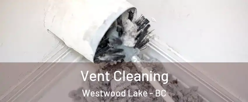  Vent Cleaning Westwood Lake - BC