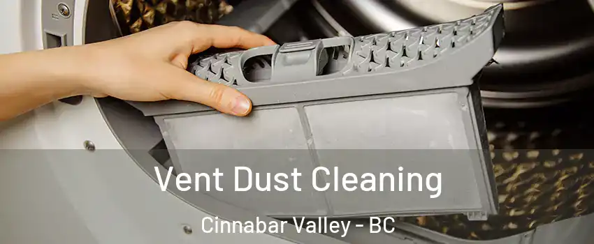  Vent Dust Cleaning Cinnabar Valley - BC