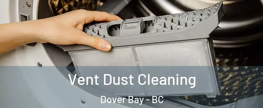  Vent Dust Cleaning Dover Bay - BC
