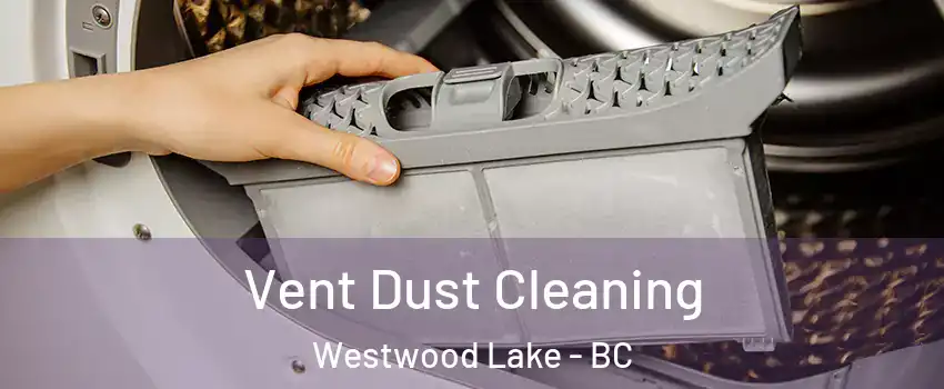  Vent Dust Cleaning Westwood Lake - BC