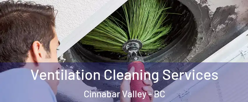  Ventilation Cleaning Services Cinnabar Valley - BC