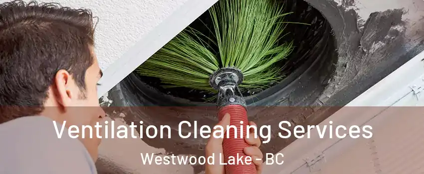  Ventilation Cleaning Services Westwood Lake - BC