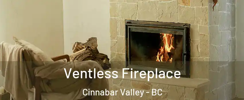  Ventless Fireplace Cinnabar Valley - BC