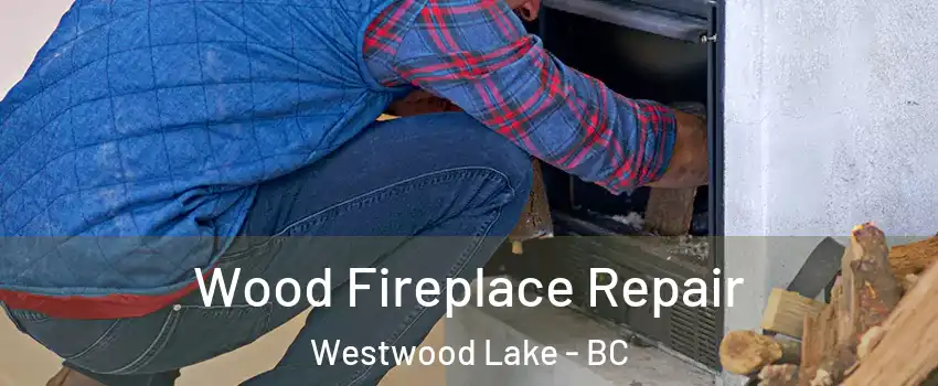  Wood Fireplace Repair Westwood Lake - BC