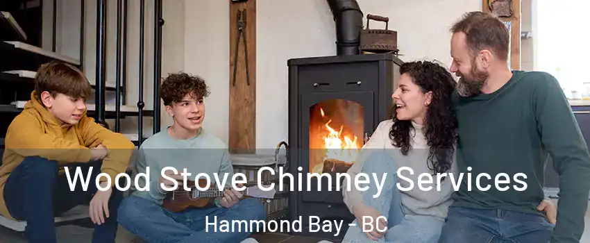  Wood Stove Chimney Services Hammond Bay - BC