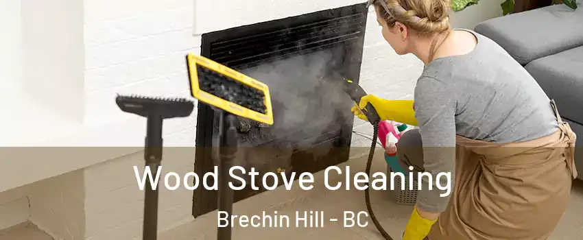  Wood Stove Cleaning Brechin Hill - BC
