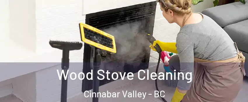 Wood Stove Cleaning Cinnabar Valley - BC