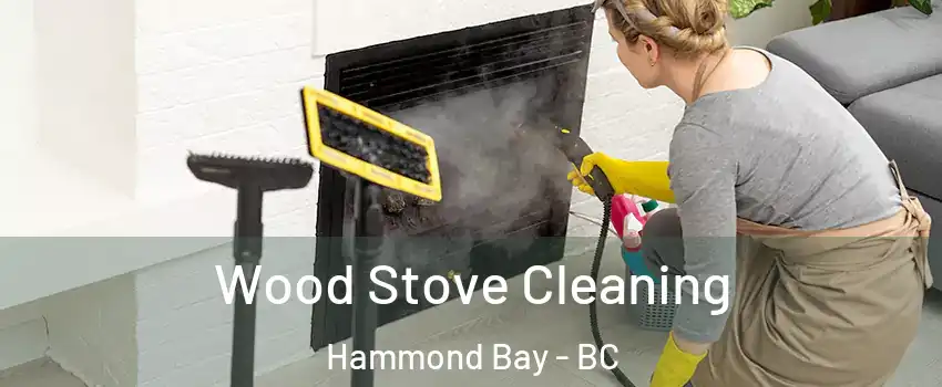  Wood Stove Cleaning Hammond Bay - BC