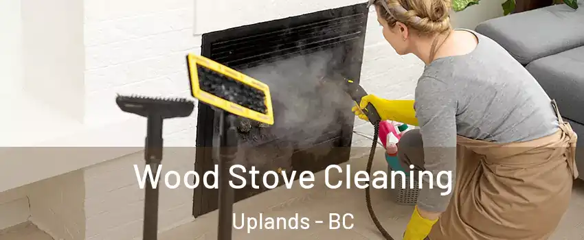  Wood Stove Cleaning Uplands - BC