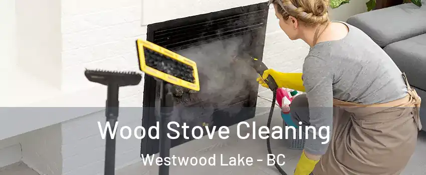  Wood Stove Cleaning Westwood Lake - BC