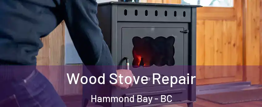  Wood Stove Repair Hammond Bay - BC