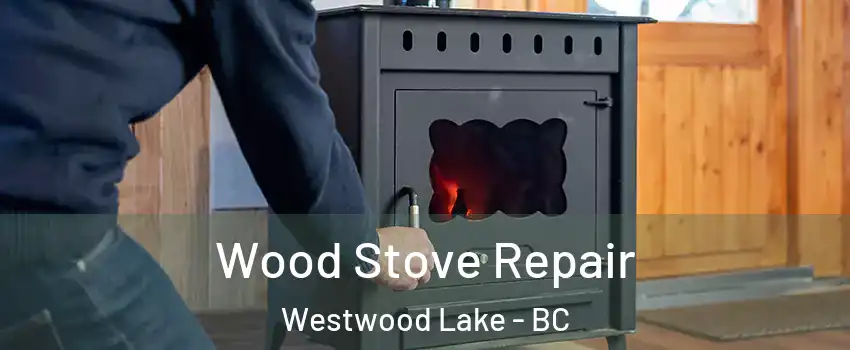  Wood Stove Repair Westwood Lake - BC